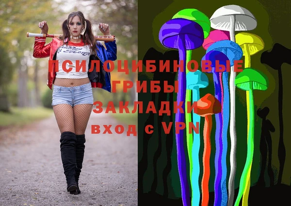 сатива Алексин