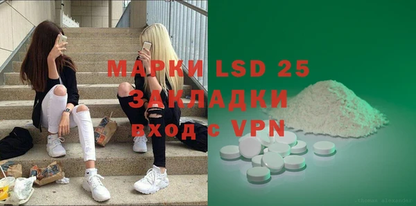 шишки Алзамай
