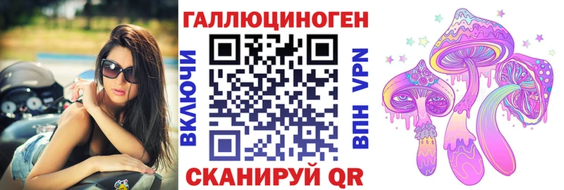 это как зайти  как найти   Бологое  Псилоцибиновые грибы GOLDEN TEACHER 