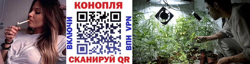 закладки  Бологое  ссылка на мегу маркетплейс  Конопля сатива 